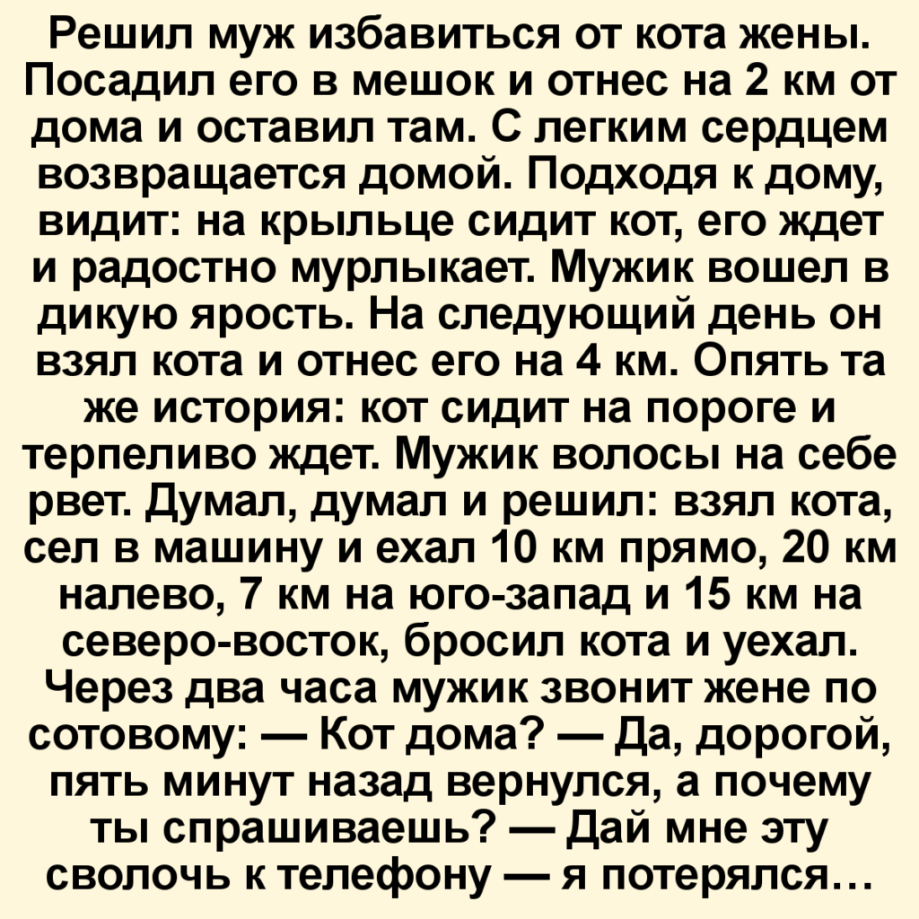 Расскажи смешную. Смешные истории. Смешные истории из жизни. Смешные рассказы. Смешные рассказы из жизни.