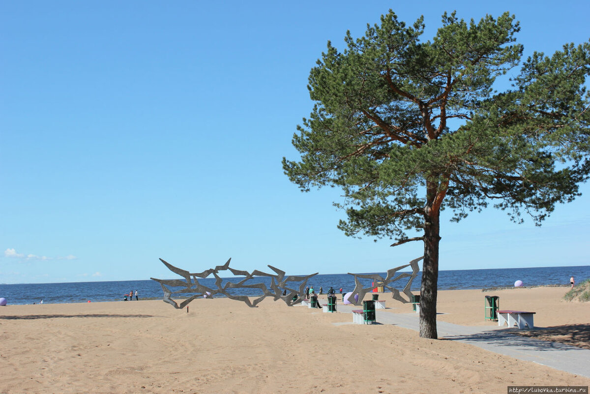 Пляж ласковый санкт петербург карта