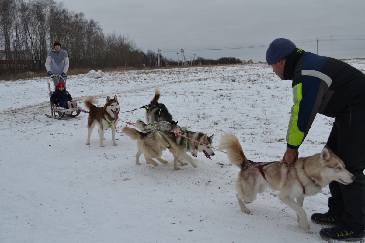 Тренировочный процес.