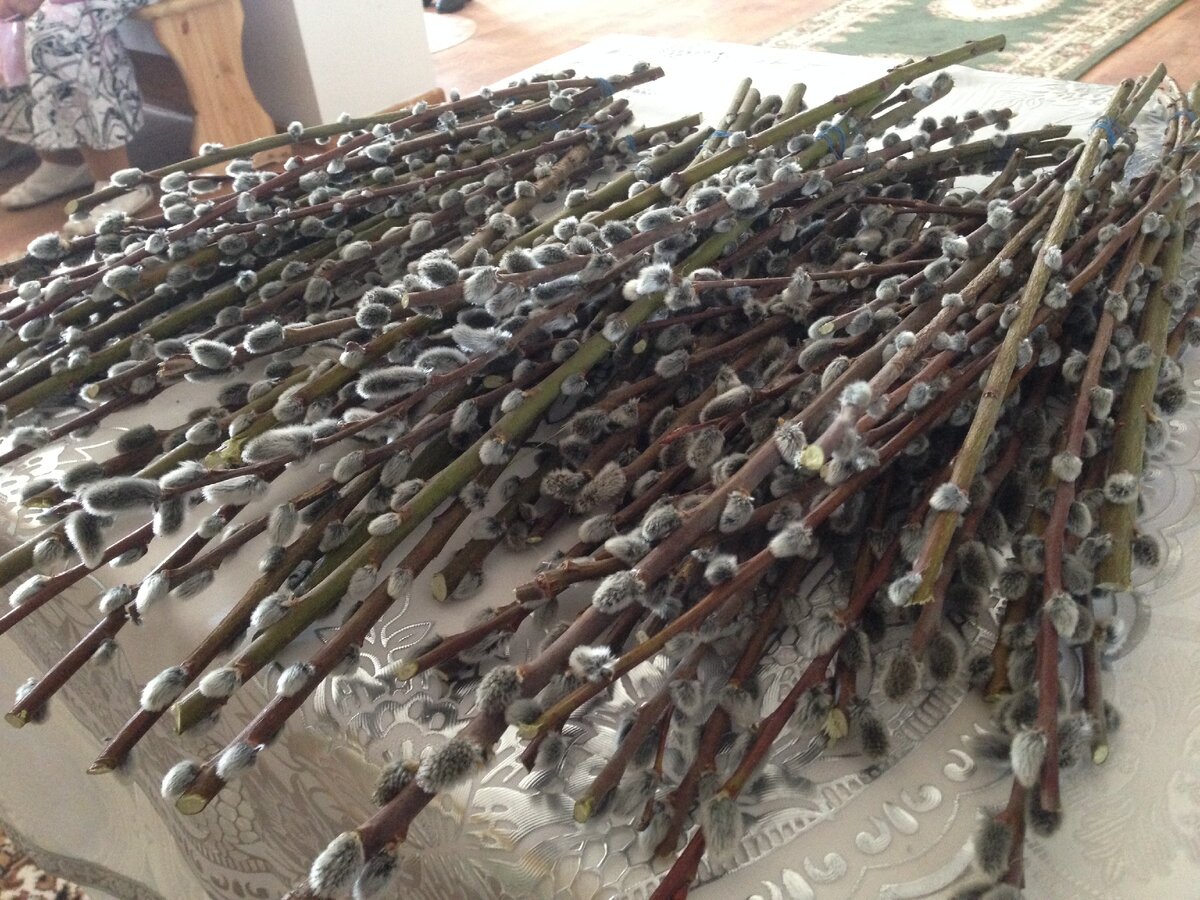 Освящение верб в прошлом году. Фото автора