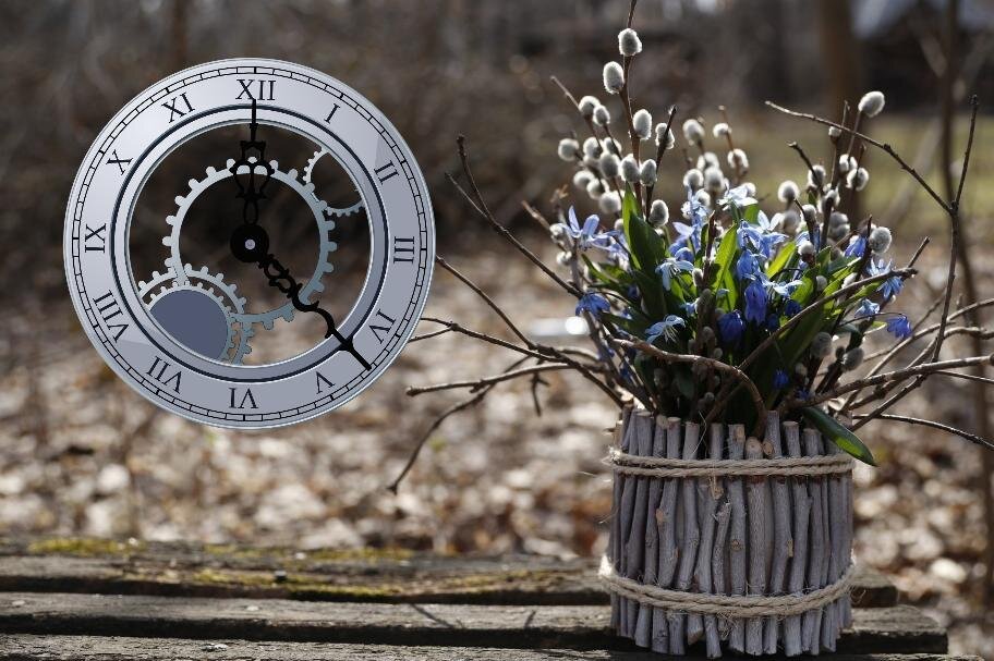 Источник: pixabay.com/