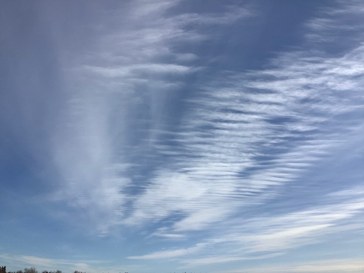 Фото от Чёрных Любови 