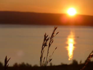 Фото из личной коллекции