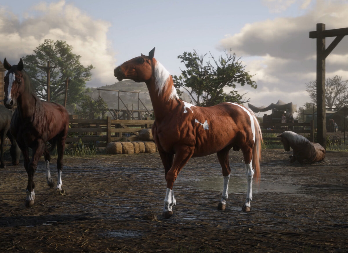 скриншот сделан в Red Dead Redemption 2