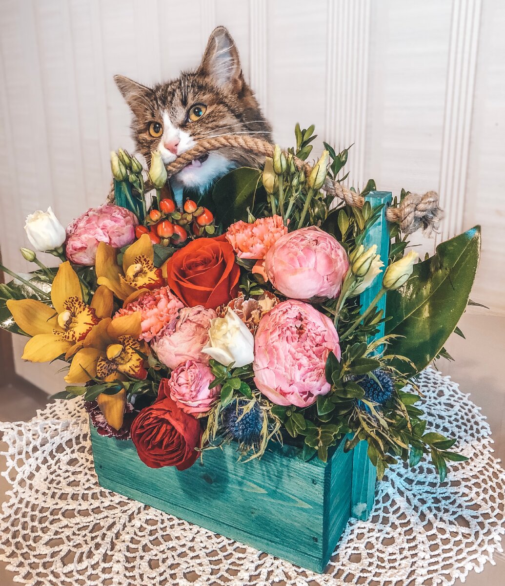 Здесь мы ещё ни о чем не догадываемся