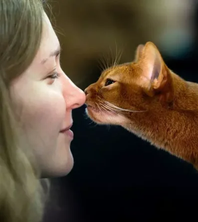 Источник: Google картинки.