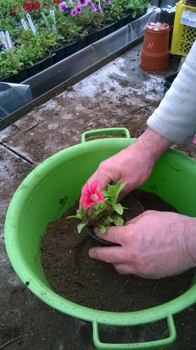 Емкость на 2-3 см шире предыдущей.