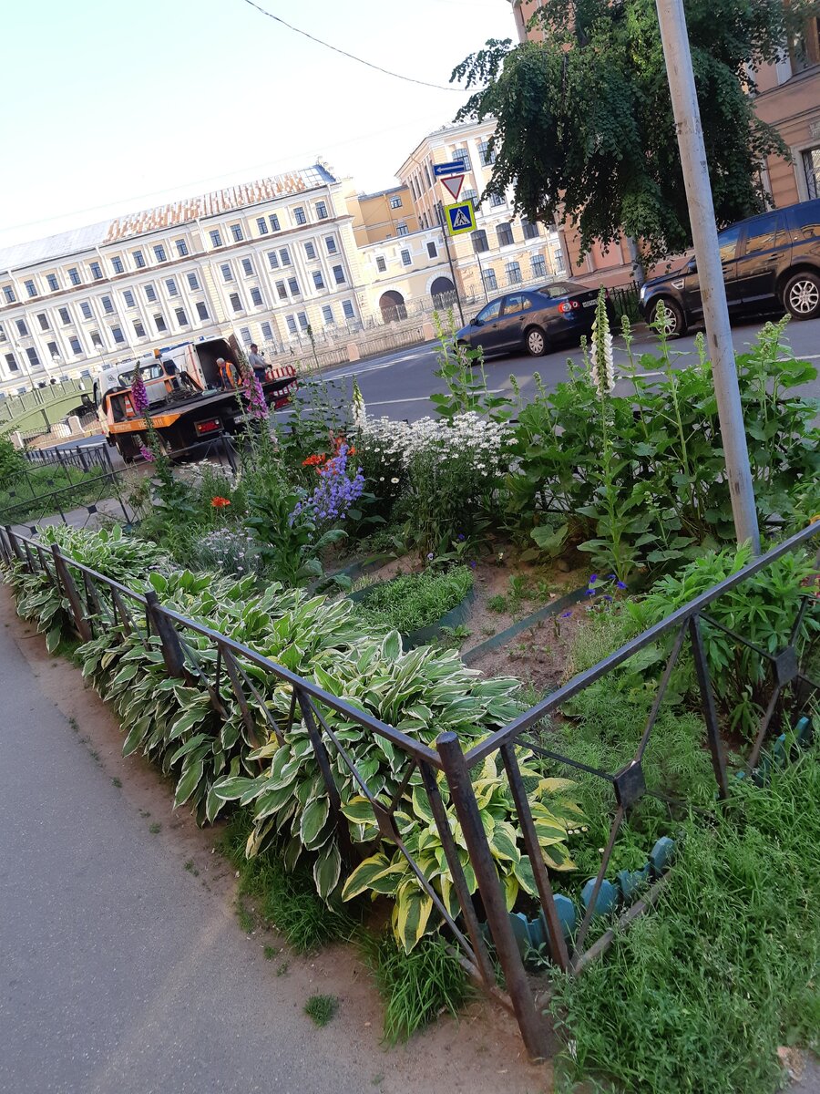 Фото: УСАДЬБУШКА 