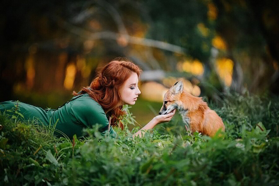 Лиса Герда вместе с подругой. (с) gerda.fox.official