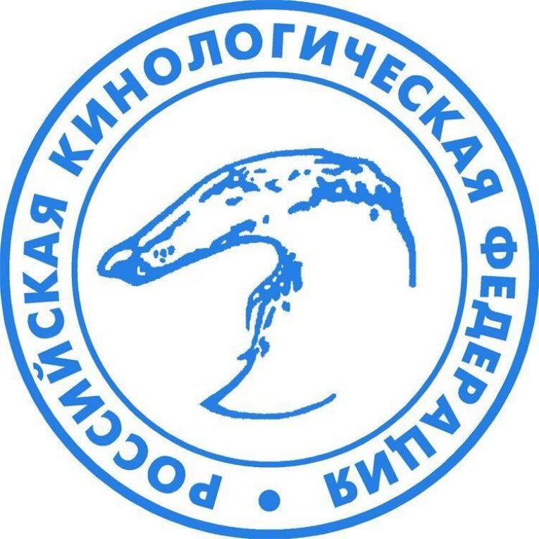 Источник: yandex.ru