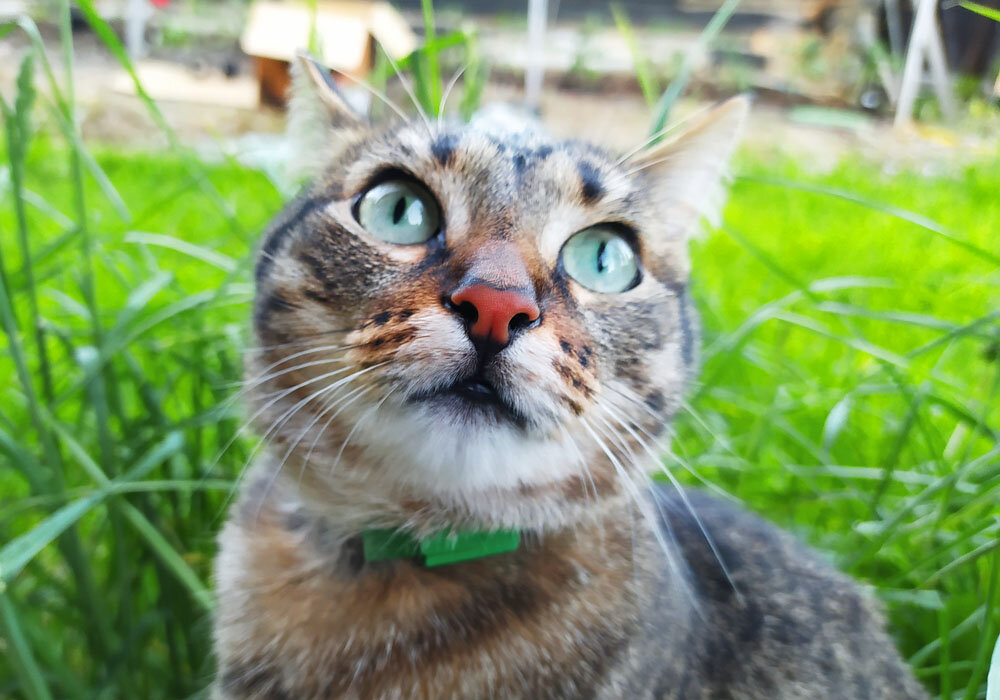 Ну, и где очередная порция?