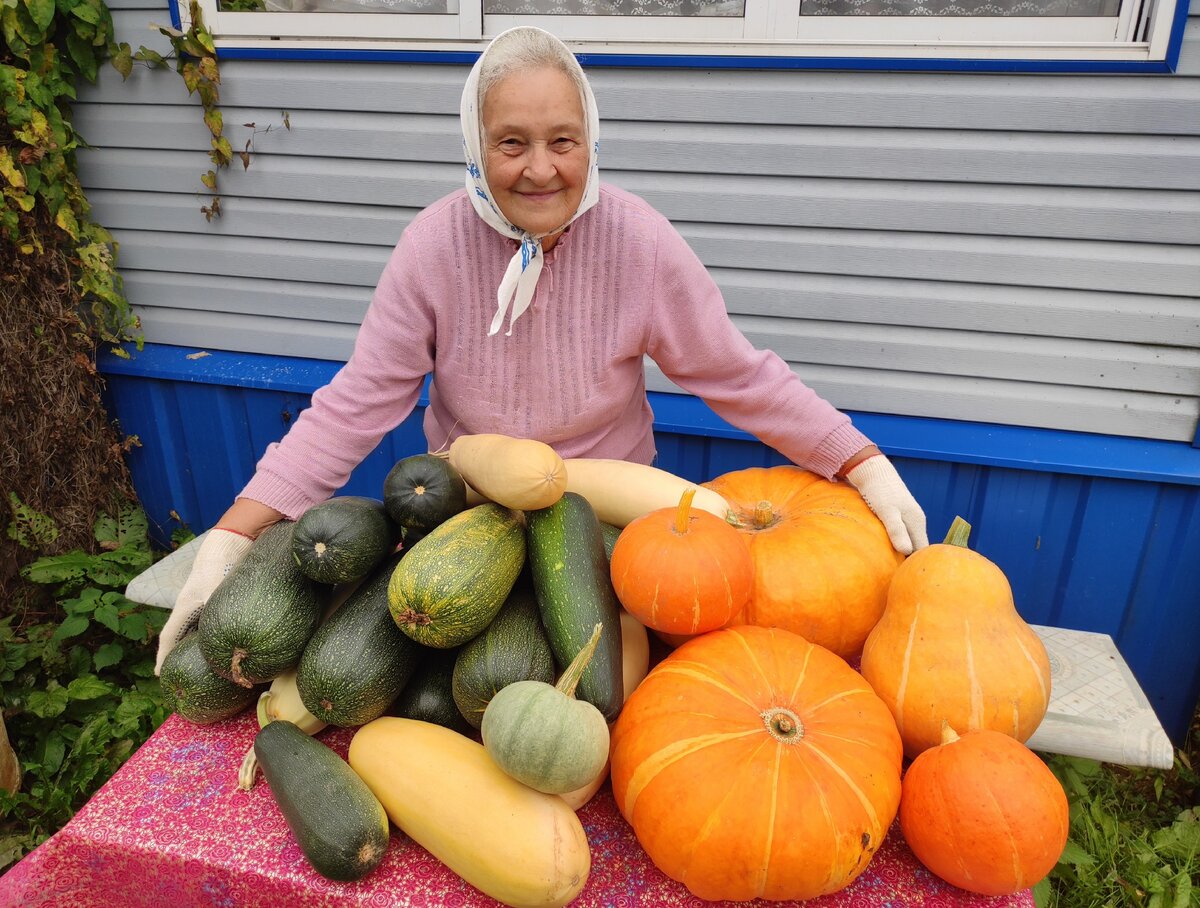 Урожай 2020 и наша бабушка 
