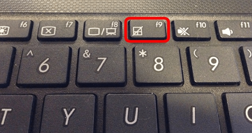 Такая пиктограмма говорит о том, что с помощью этой клавиши можно выключить и включить тачпад