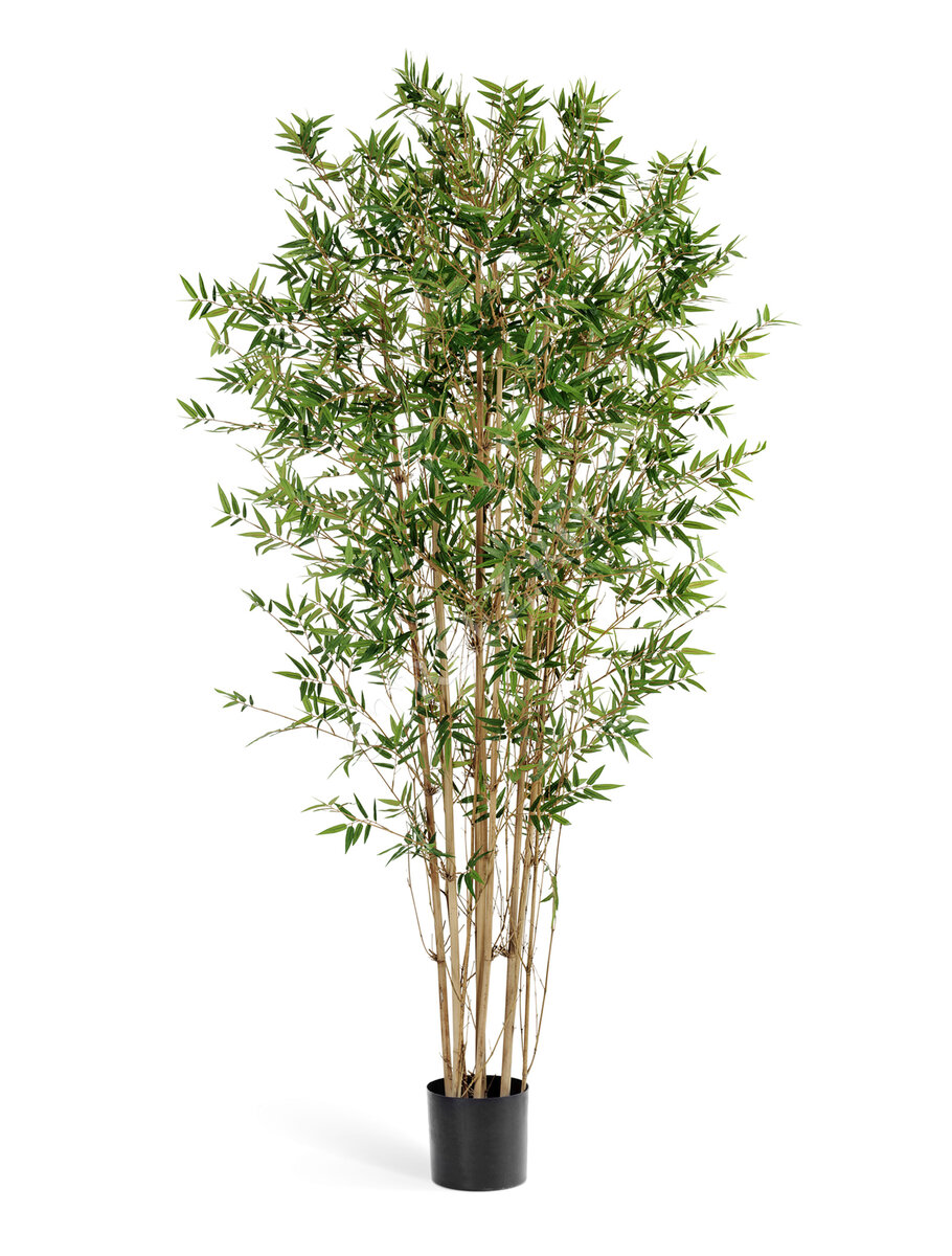 Искусственные Бамбук Японский ориенталь Treez Collection.