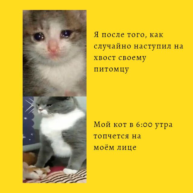 -2-2