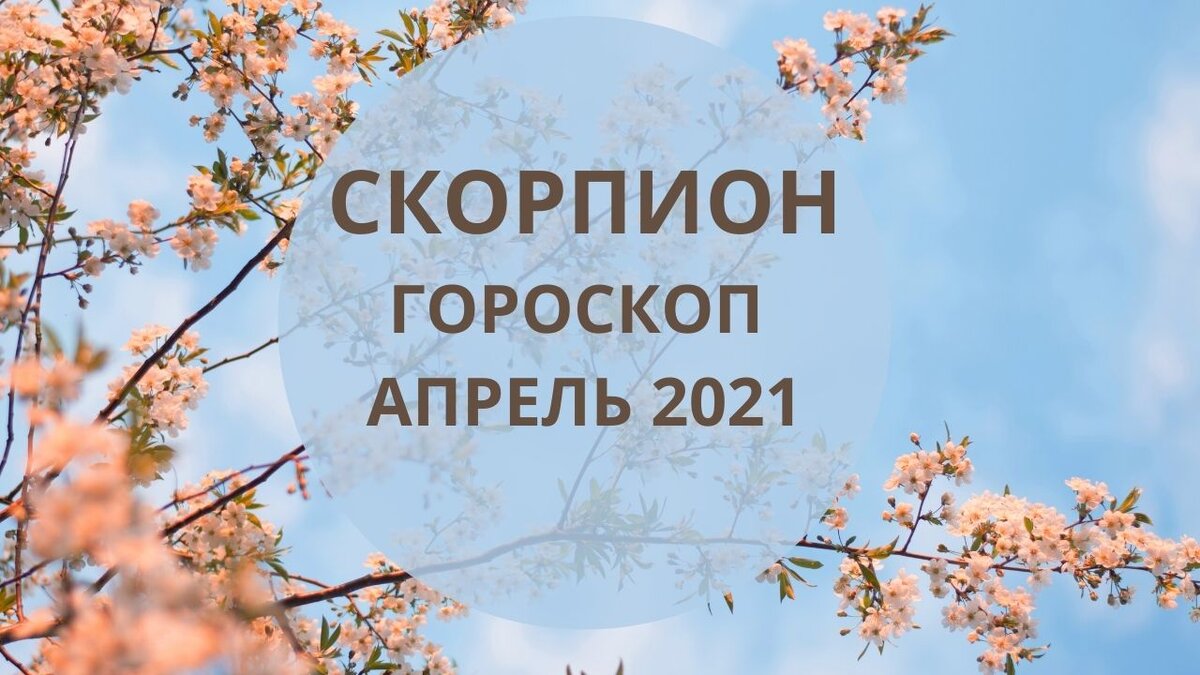 Скорпион - гороскоп на апрель 2021 года. Астрологический прогноз | Астролог  Мария Кузьменко | Дзен