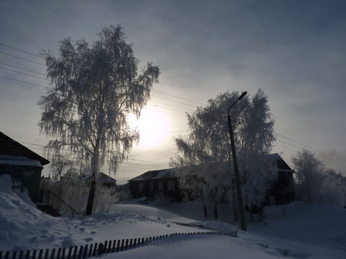 Мороз. Фото из личного архива.