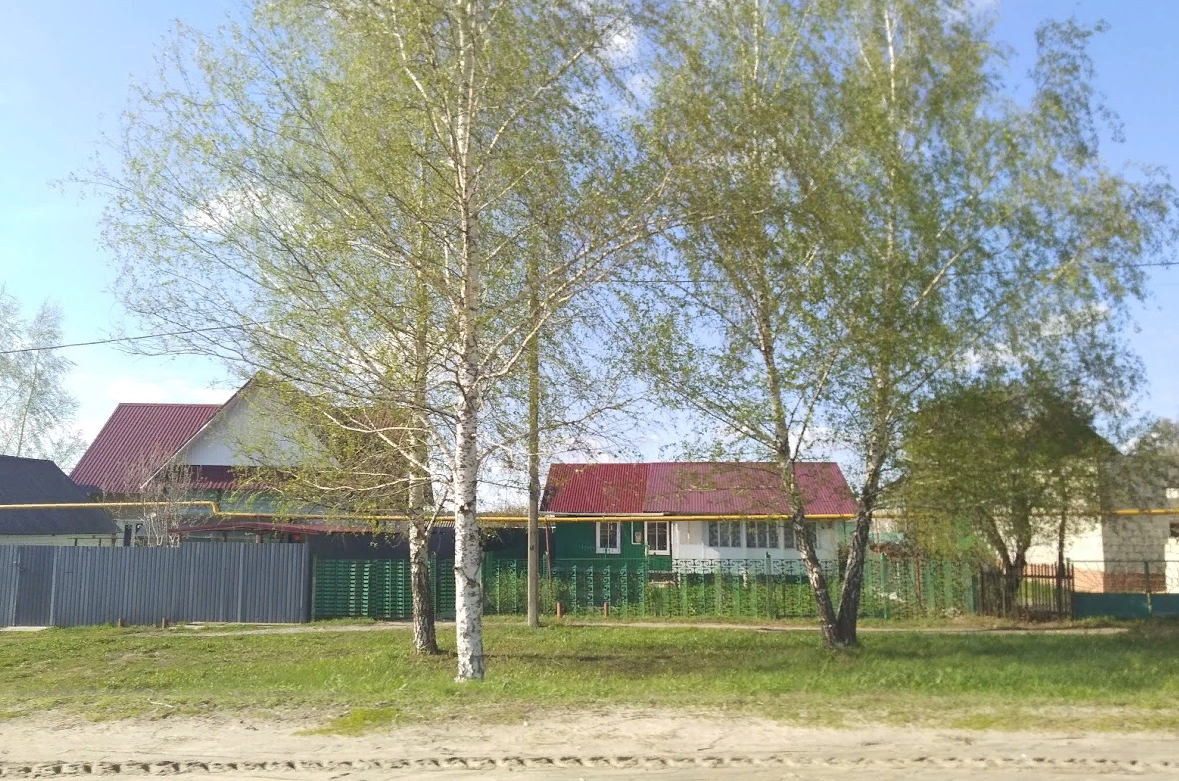 Берёза, которая росла недалеко от дома считалась Берегиней (фото автора)