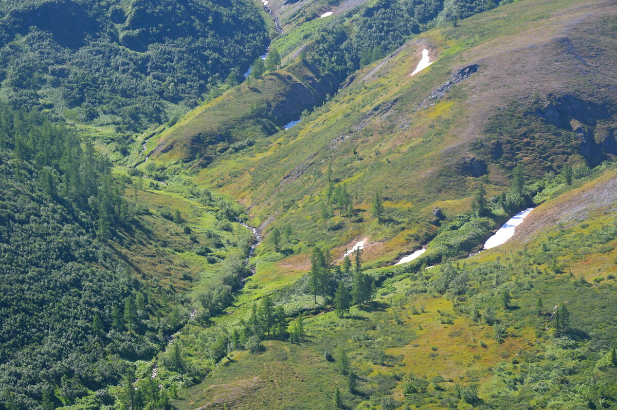 Фото: Михаил Пустовой