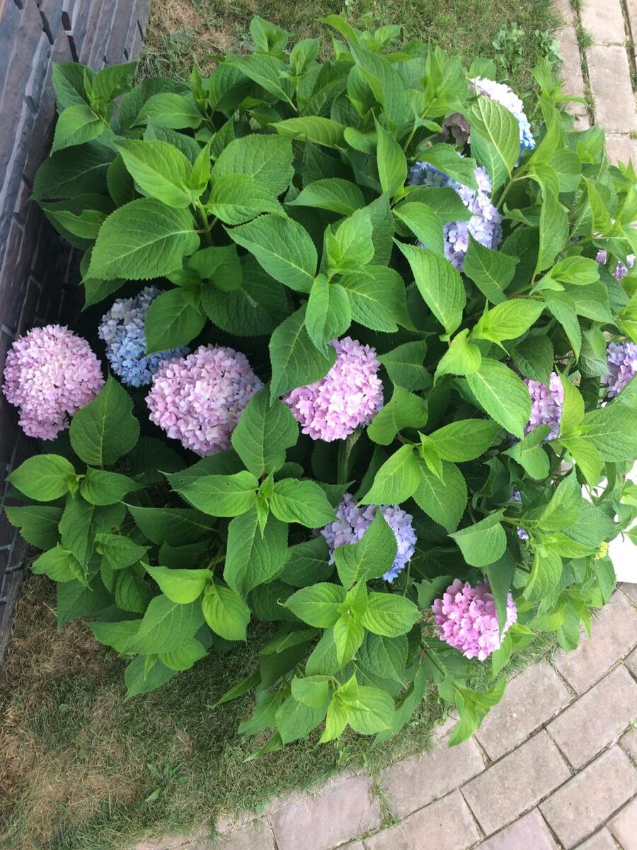 Фото из личного архива 