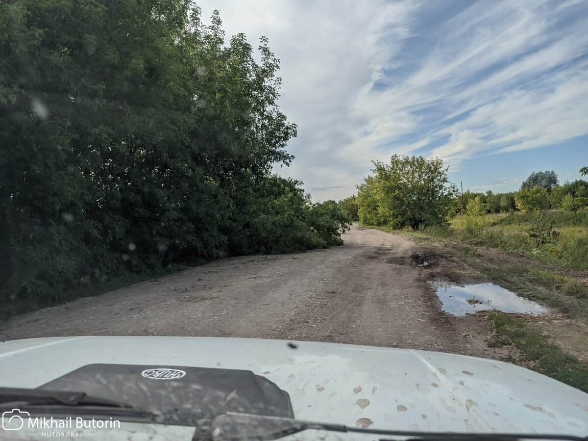 Упавшее на дорогу дерево.