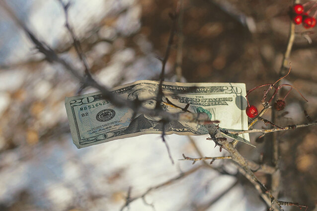 Фото: Joshua Hoehne/Unsplash