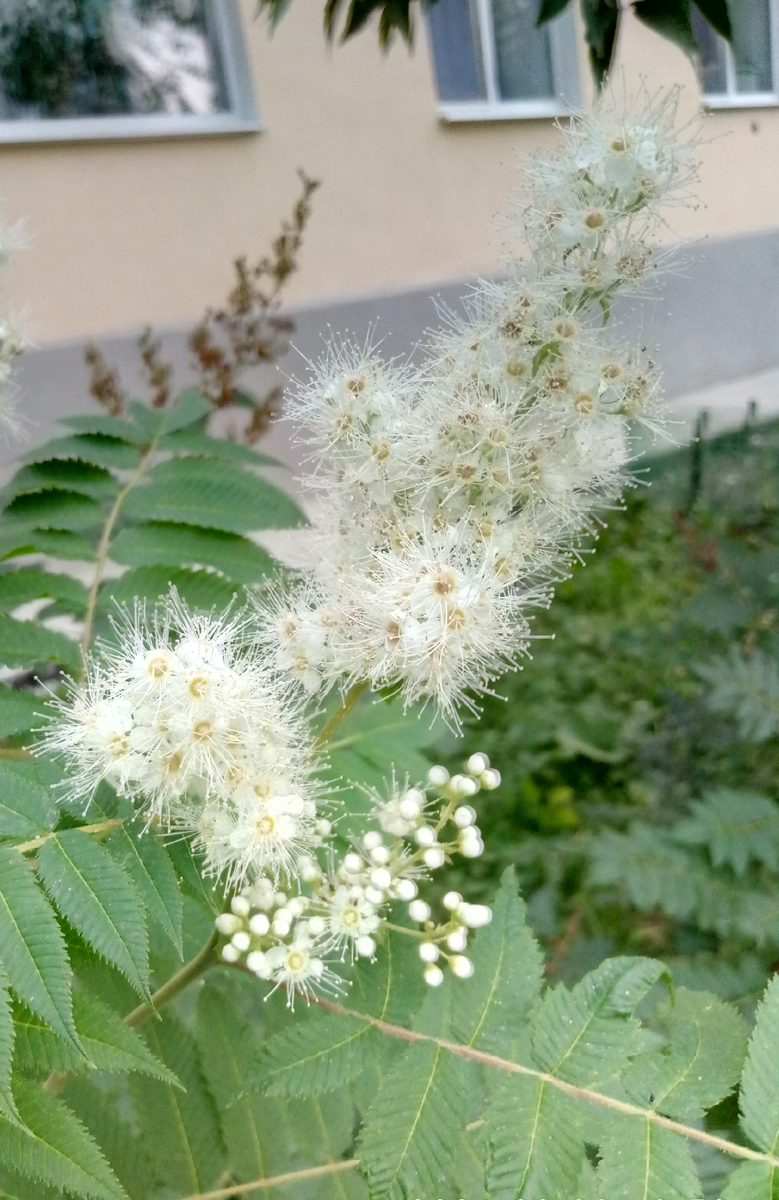 Немного красоты не будет лишним