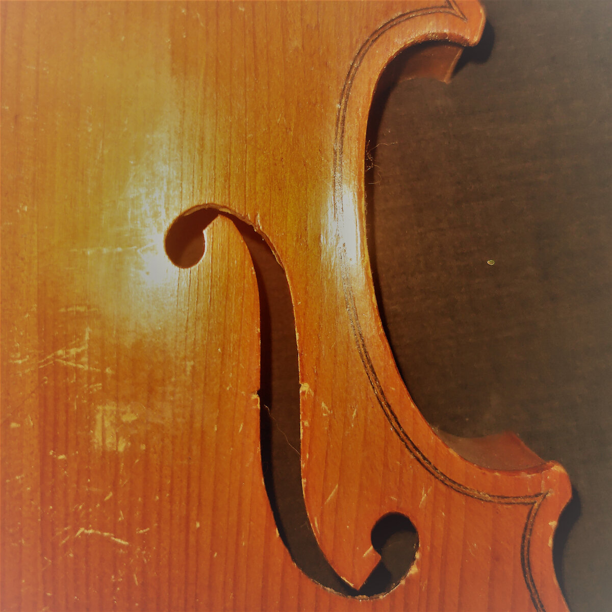Акустическая скрипка - очень хрупкий инструмент