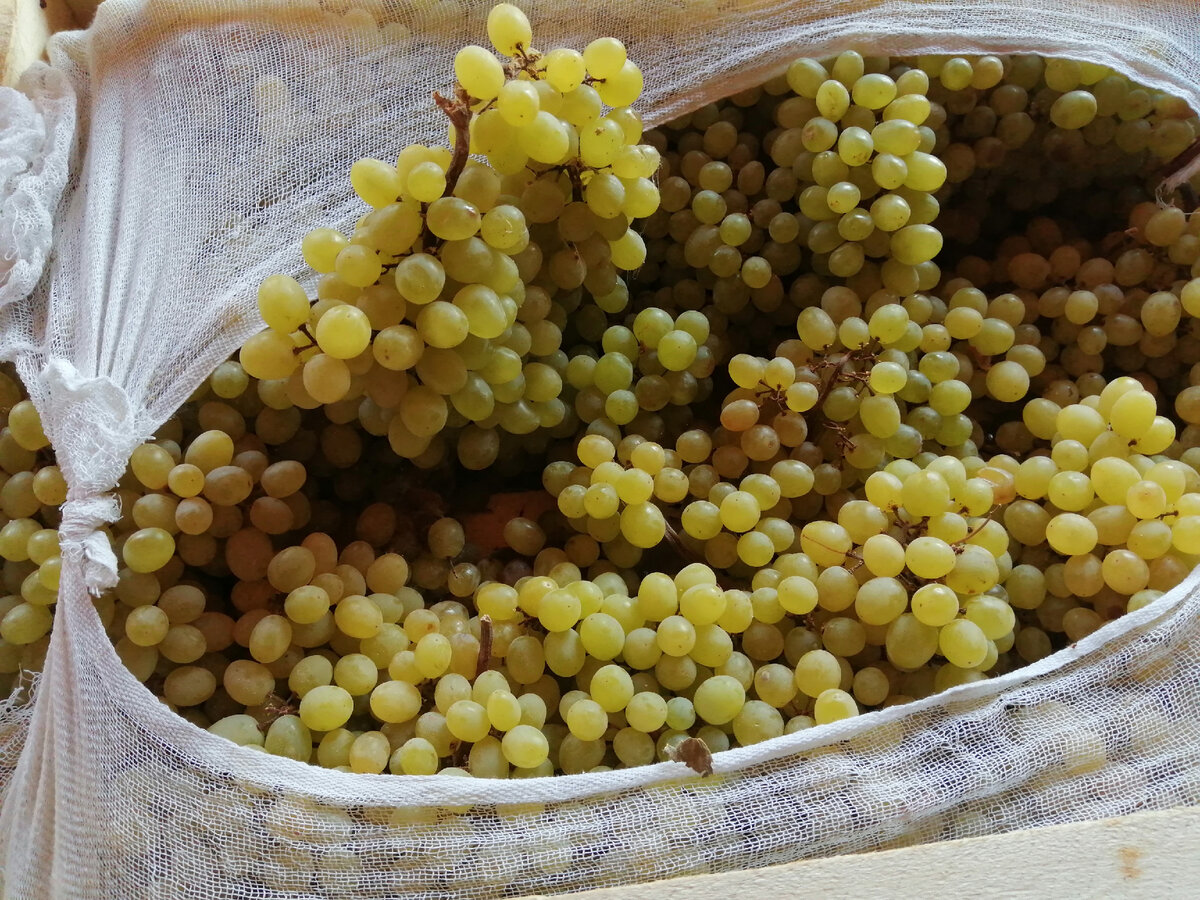 Виноград отличный и очень сладкий