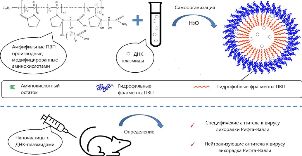 Изобразите схематично
