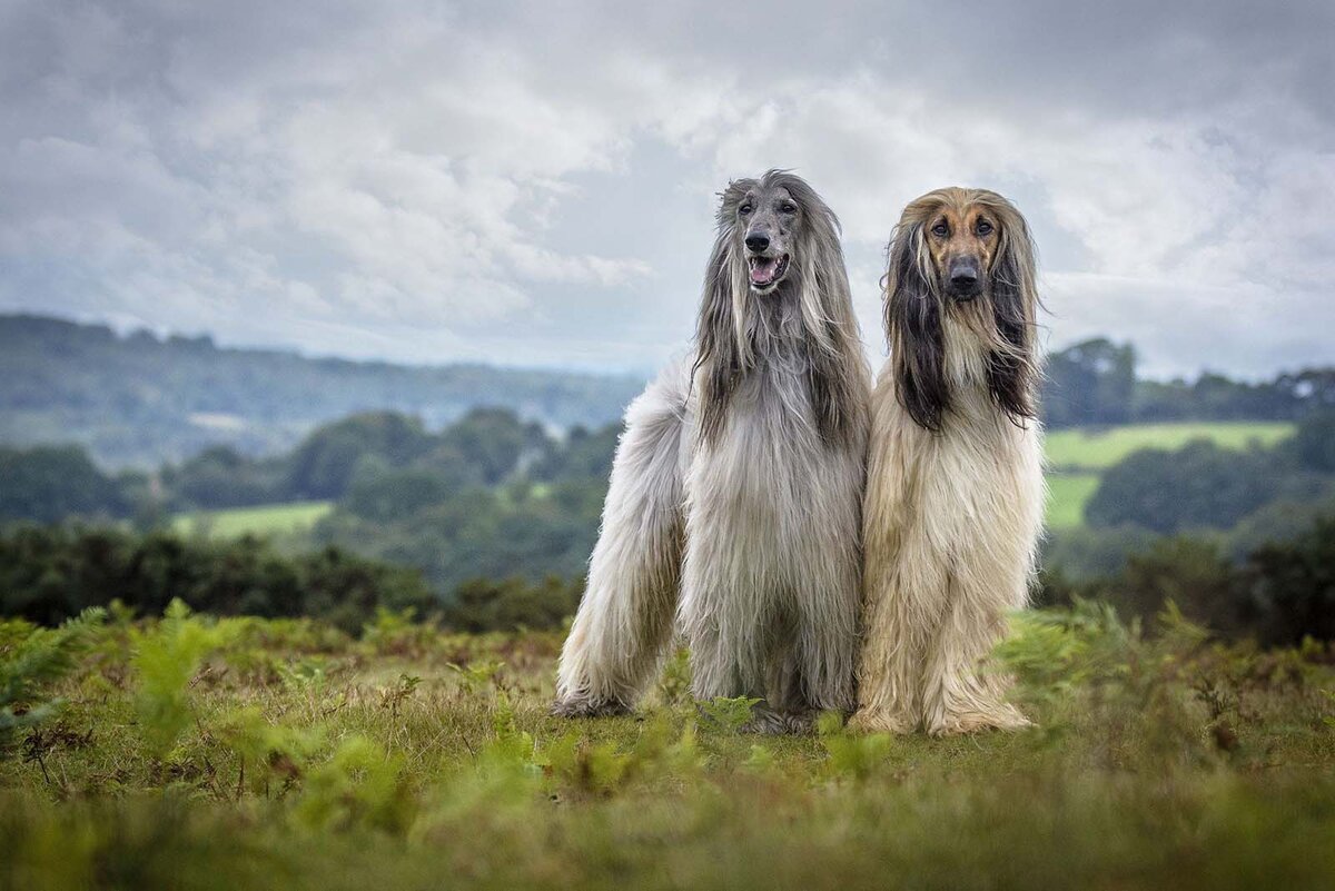 -2