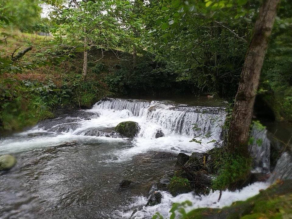 Грузия. Чакви. Oasis Gasamania