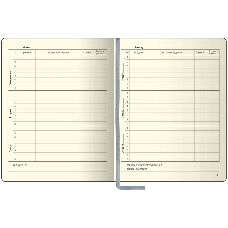 Разворот обычного школьного дневника (взято с Яндекс Маркета). 