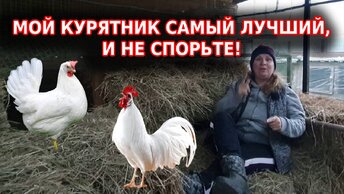 Курятник самый лучший - это мой - так вы должны всем говорить!