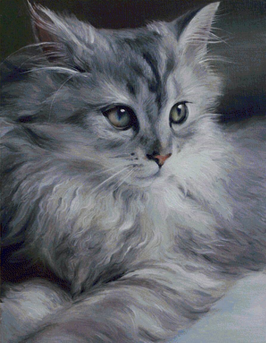 Яндекс. Картинки