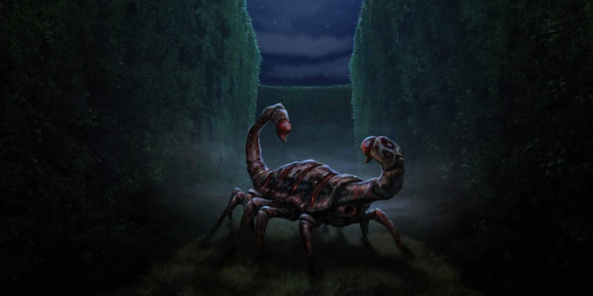 Да, выглядят они странно...