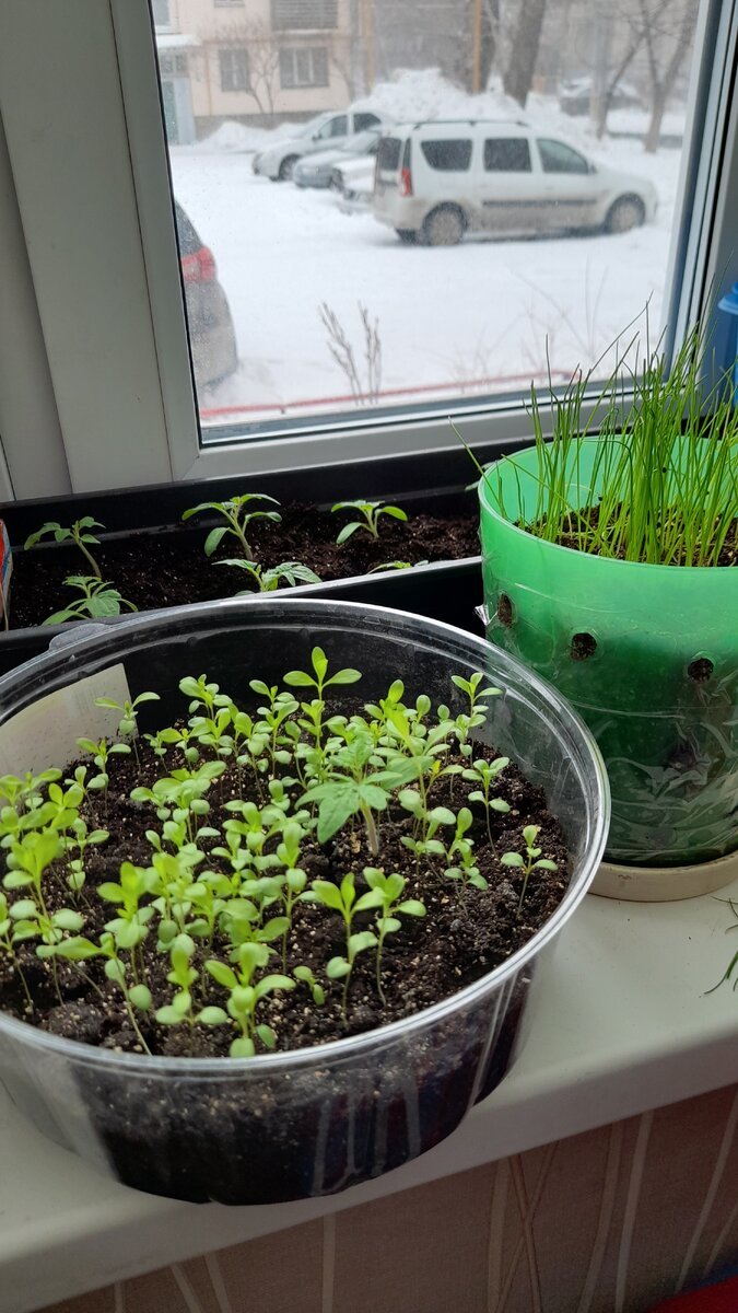 "Доброе утро, мир! Ты прекрасен!" Фото автора