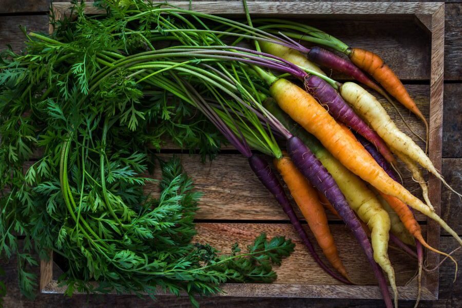 Морковь — один из самых распространенных овощей по всему миру.