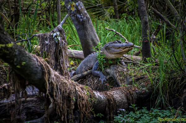 Cele mai înfricoșătoare locuri de pe planetă