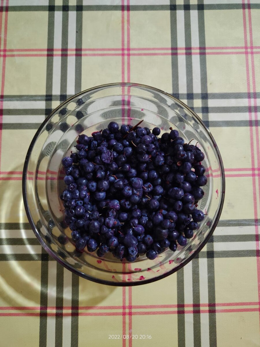 Свежая голубика)))