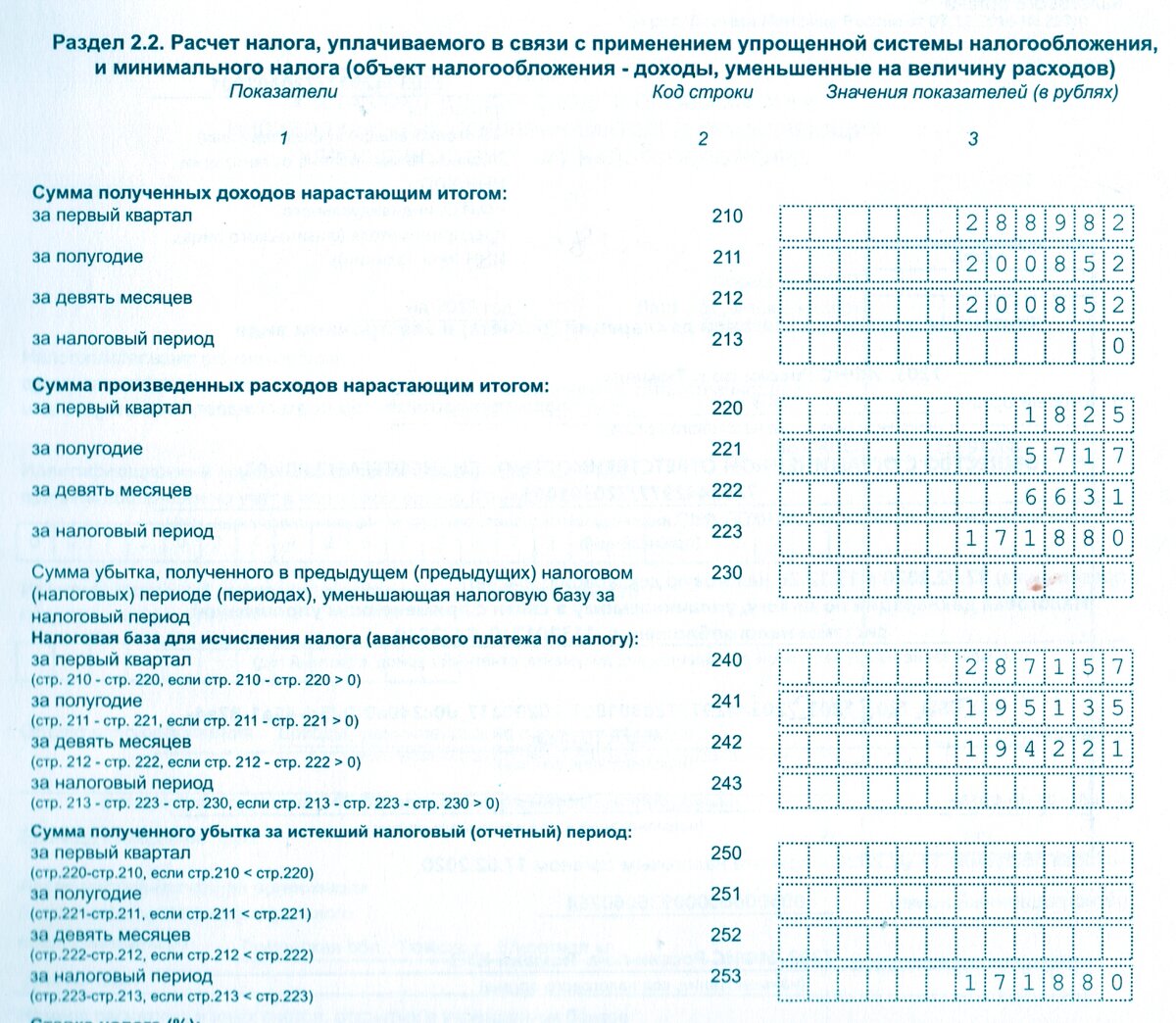 Образец декларации с уменьшающимися доходами.