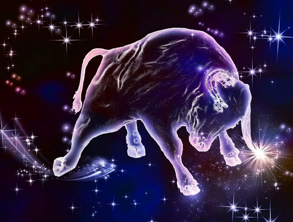 Яндекс картинки