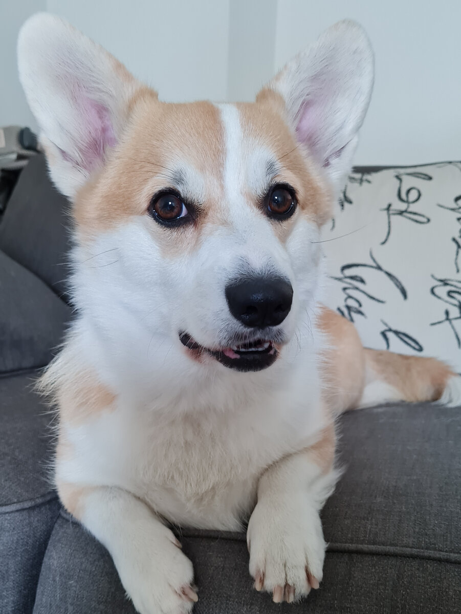 Душнила нр 1. Тоже требует регулярного внимания