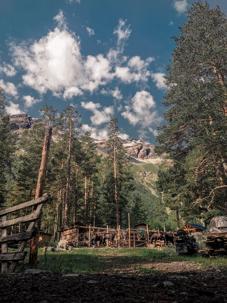 При входе на территорию находится конюшня и такой вот вид на горы открывается с любой точки кемпинга.