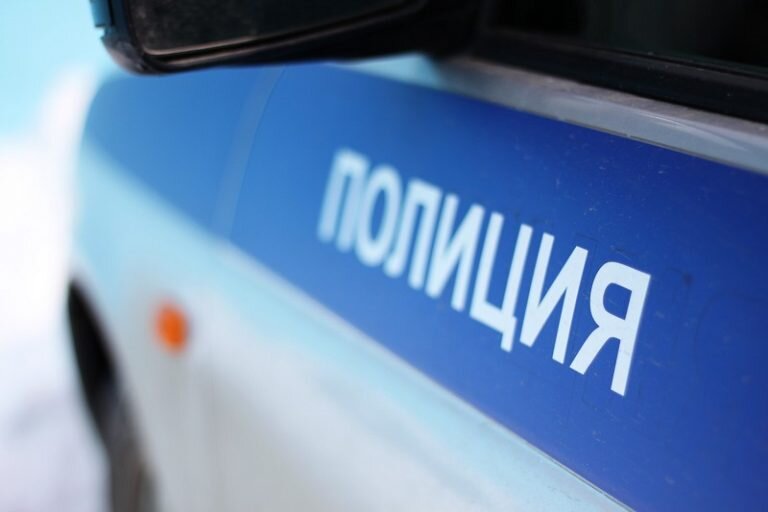   В Тюльганском районе нетрезвый водитель пытался скрыться от полицейских Кристина Просвиркина