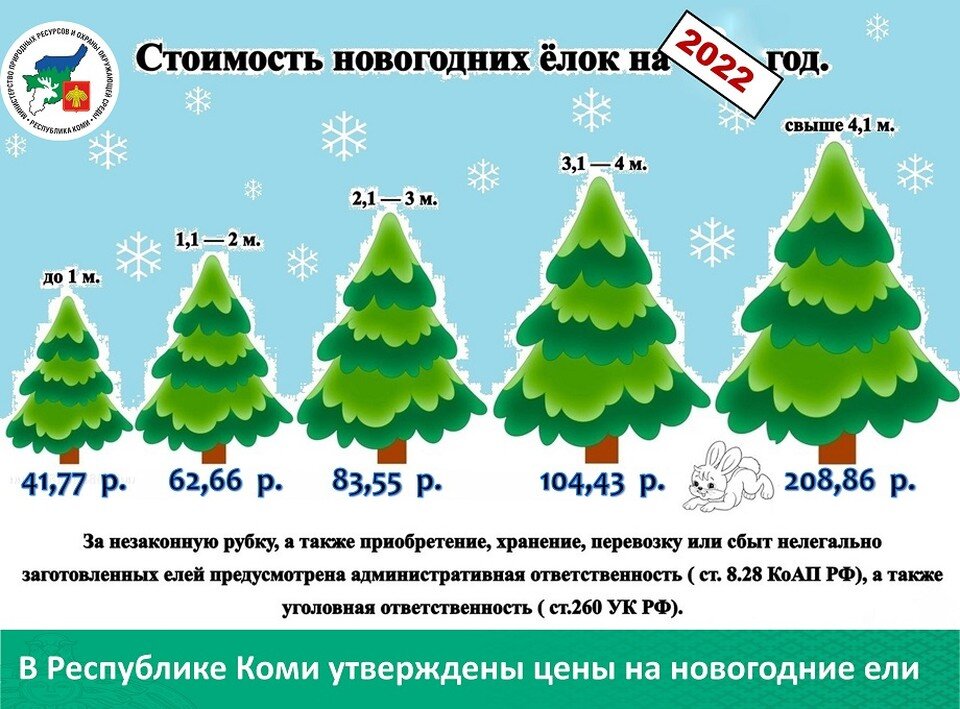     В Коми утверждены цены на новогодние ели