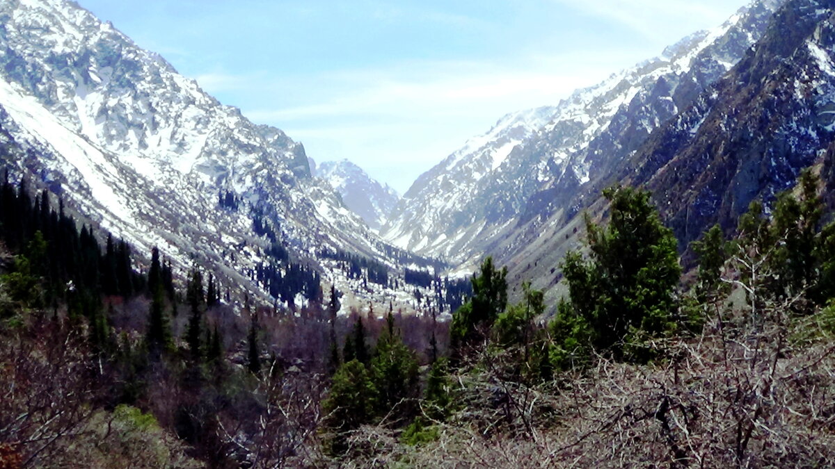 Природный парк ала-Арча. Национальный парк ала-Арча Киргизия. Горы ала Арча. Ущелье ала Арча Бишкек.