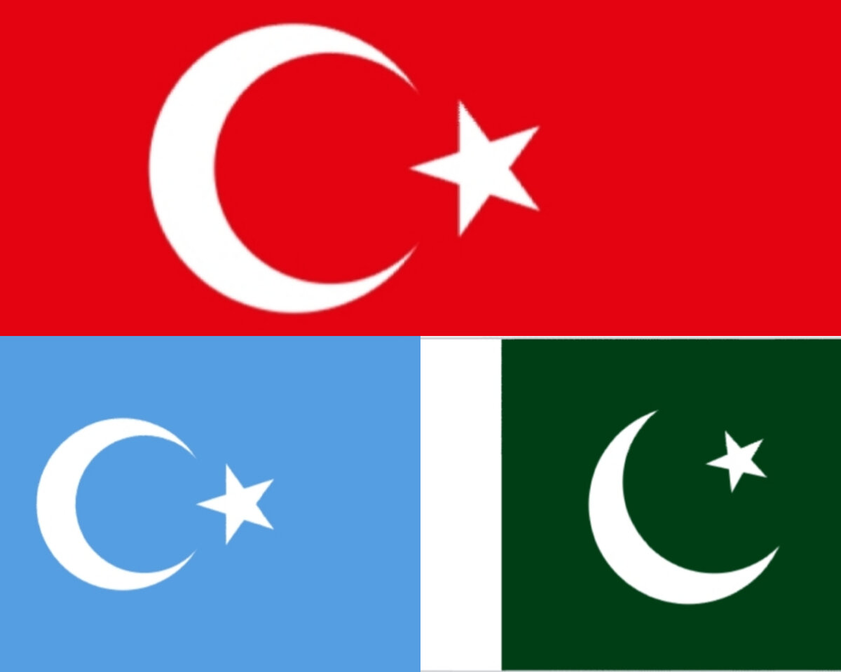Сколько звезд на флаге турции. Флаг Восточной Турции. Флаги Турции и восточного Туркестана. Флаг восточного Туркестана. Флаг исламской Турции.