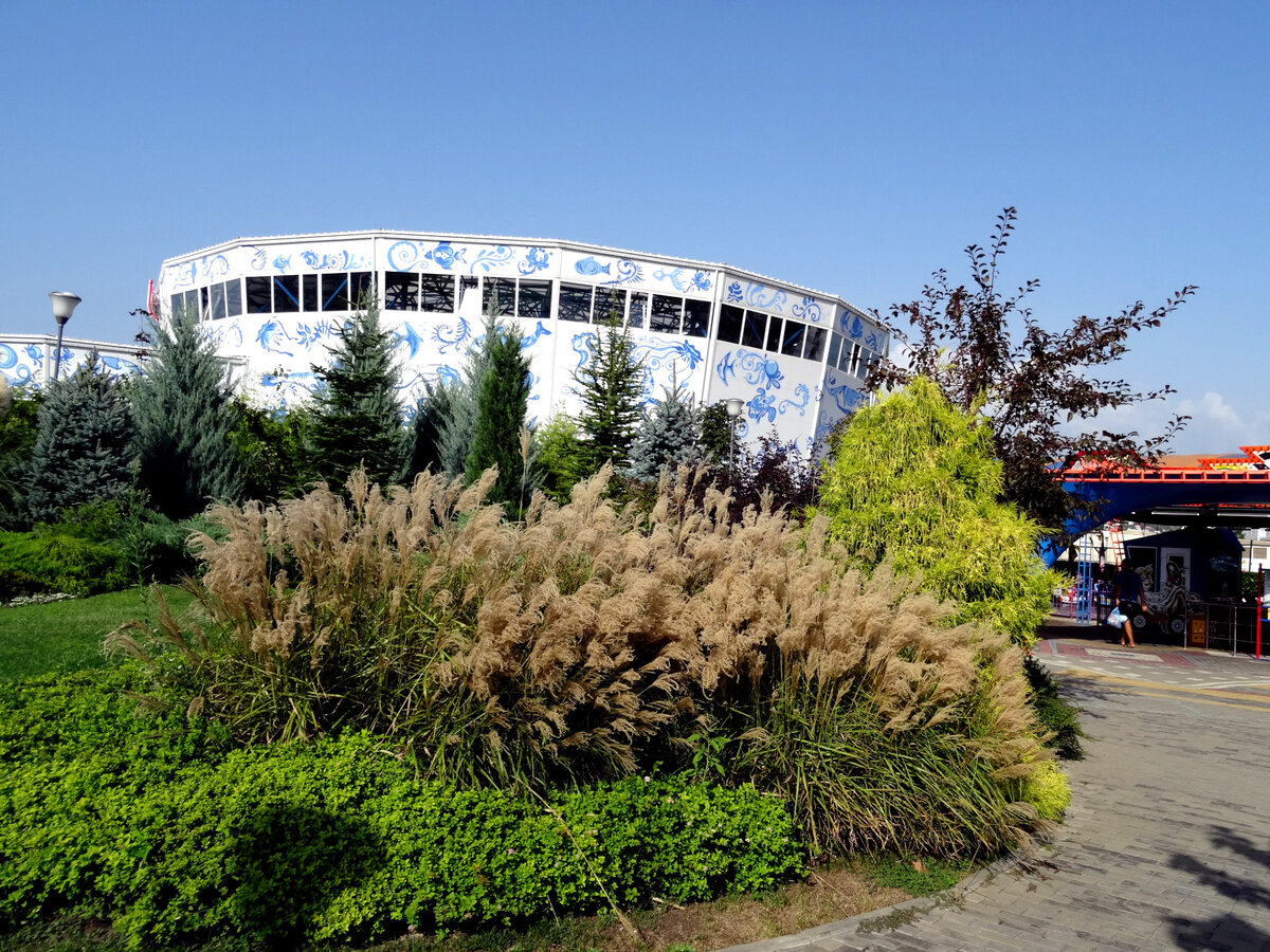 Дельфинарий на территории Сочи Парка