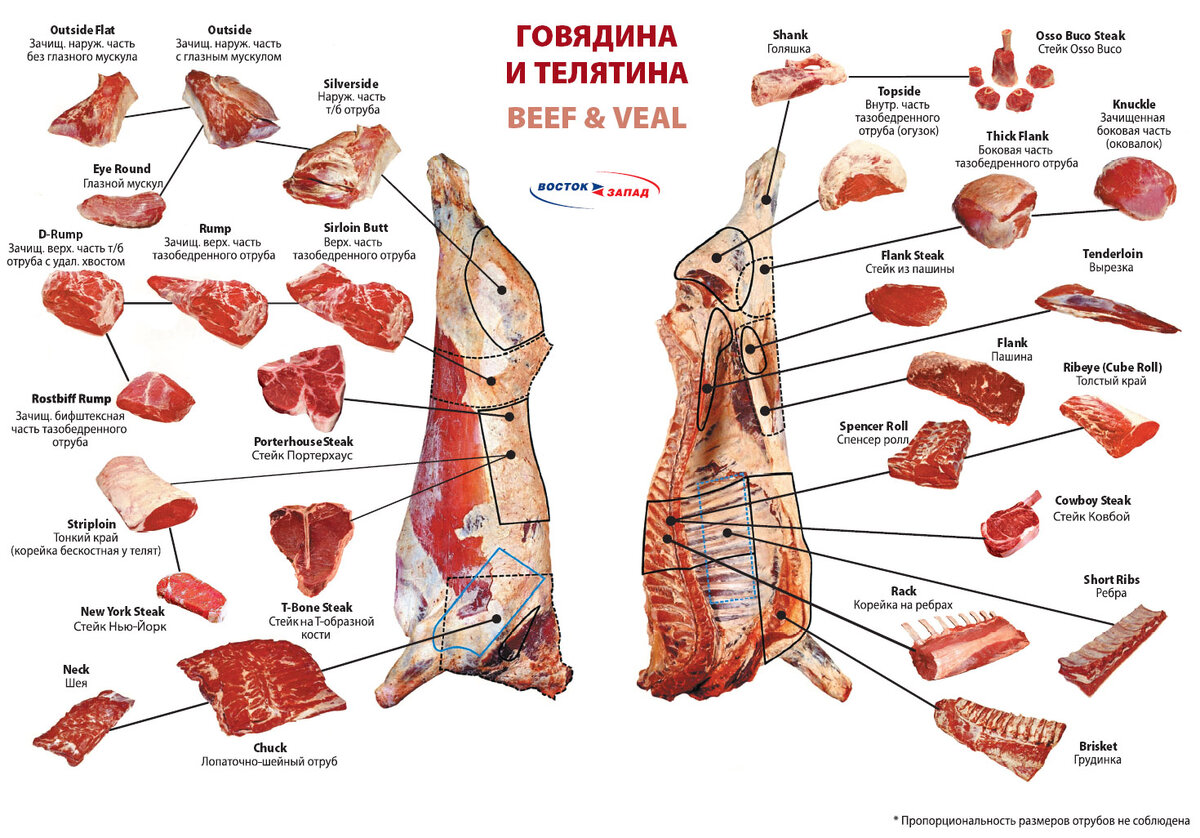 Источник: http://www.ljplus.ru/img4/v/o/volho/map_beef.jpg
